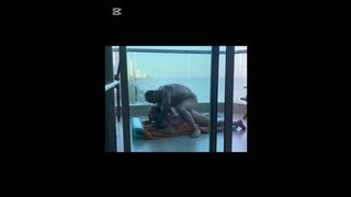 Petite Slut Brutally Anal Destroyed Like Fuck Toy
